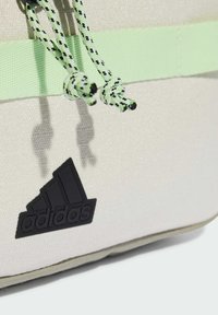 adidas Performance XPLORER WAIST - Riñonera - aluminium silver pebble semi green spark black