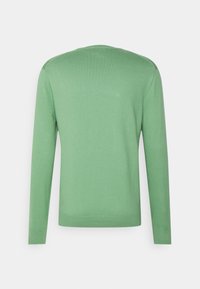 Pull en maille vert clair à manches longues, vu de dos, avec un col rond et des poignets et un ourlet côtelés.