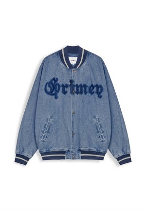 BASEBALL CAUSING PANIC - Chaquetas bomber - azul