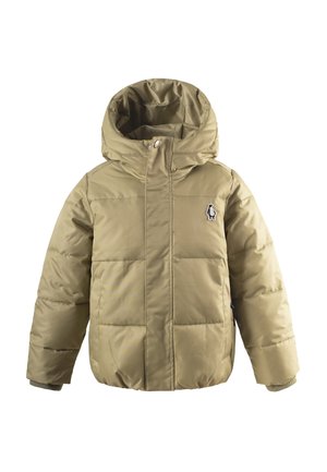 DRAGON EYE - Giacca invernale - gray green