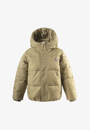 Gosoaky DRAGON EYE - Winterjacke - gray green