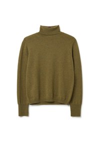Maglione a collo alto in verde muschio, realizzato in morbido materiale a maglia. Presenta maniche lunghe e dettagli a costina sul colletto e sull'orlo.