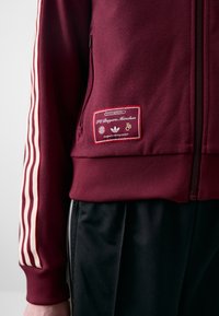 adidas Originals FC BAYERN MUENCHEN ICON - Sporto klubų atributika - shadow red