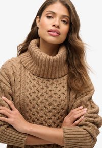 Maglione a collo alto in maglia grossa color marrone chiaro, con motivi a treccia testurizzati e dettagli a coste su maniche e collo. Design accogliente e caldo.