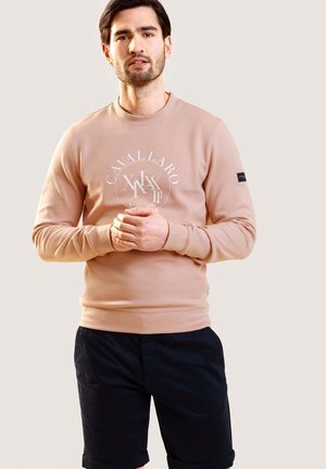 CANTO R-NECK - Sweater - old pink