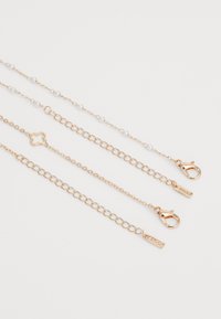 ALDO LILAVI SET - Halsband - ice