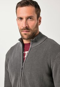 Mann mit kurzem braunem Haar und Bart, trägt einen grauen Strickpullover mit Reißverschluss über einem roten Hemd vor hellem einfarbigem Hintergrund.