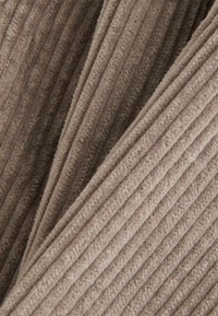 REGULAR FIT - JUMBO - Kratke hlače - mushroom