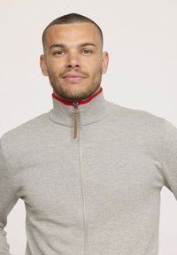 Pull à zip gris clair avec bordure rouge. Il présente un col montant, une texture côtelée et un petit logo en relief sur la poitrine.