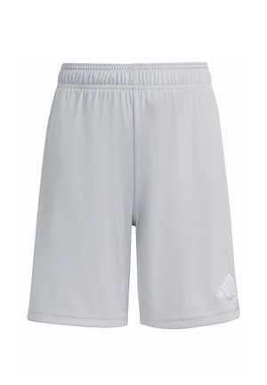 adidas Performance, ADIDAS PERFORMANCE ENTRADA26 SHORTS KIDS UNISEX - Pantaloncini sportivi - team light grey   white