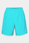 CHALLENGER SHORT - Korte broeken - dusty cactus/reflective silver