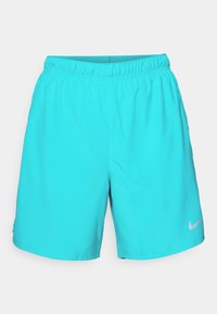 CHALLENGER SHORT - Korte broeken - dusty cactus/reflective silver