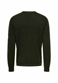 Suéter de color verde oscuro con mangas largas, cuello redondo, patrón de punto texturizado y rayas horizontales en la parte posterior. Puños y dobladillo acanalados.