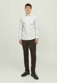 Balta krekls ar maziem ziliem rakstiem, ar pogām aizdares dizainu, garām piedurknēm, kombinēts ar tumši brūnām biksēm un melniem apaviem. Vienkārša un tīra izskata.