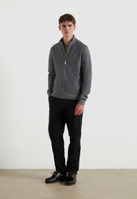 Grijze zip-up sweatshirt met een staande kraag en een klein logo, gecombineerd met zwarte broek en zwarte schoenen. Soepele textuur. Eenvoudig ontwerp.