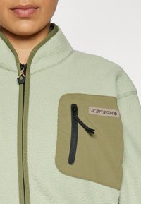 Svetlozelená fleece bunda s vreckom na zips v olivovej farbe, s čiernym zipsom a štítkom s logom na vrecku.