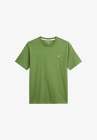 Selecionado, spring fern