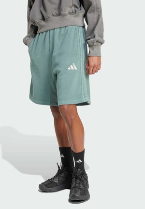 Mint green athletic shorts with side pockets, elastic waistband, three white stripes logo, worn with black socks and training shoes.