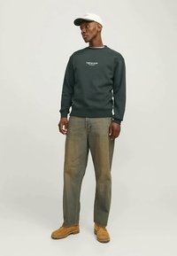 Jack & Jones JORVESTERBRO CREW NECK - Bluză de molton - forest river