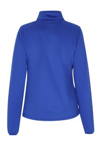 Maglietta a maniche lunghe blu con colletto a zip, realizzata in tessuto morbido, caratterizzata da un design pulito sul retro senza cuciture visibili o decorazioni.