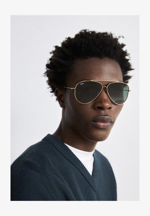 Χρυσά aviator γυαλιά ηλίου με σκούρους φακούς. Υφή μαύρα μαλλιά, φορώντας ένα ναυτικό πουλόβερ πάνω από ένα λευκό πουκάμισο. Ουδέτερο φόντο.