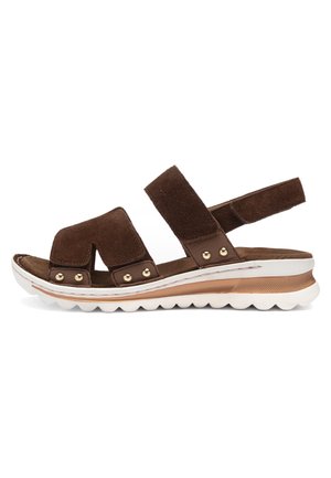 ara, TAMPA - Sandaler - braun