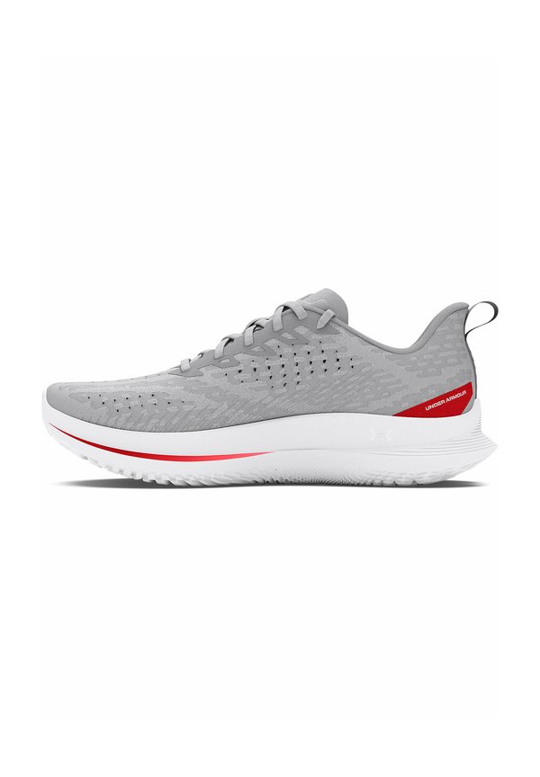 VELOCITI 4 - Road running shoes - halo gray