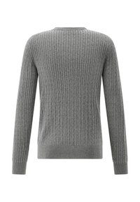 Grauer Strickpullover mit gerippter Textur, rundem Ausschnitt und langen Ärmeln, mit tailliertem Saum und Bündchen.
