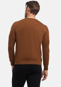 FALKE Basic New Merino V-Neck - Strickpullover - brown (5100)