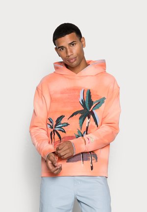 RELAXED PRINT AND EMBROIDERY WASHED FELPA HOODIE - Felpa - light terra