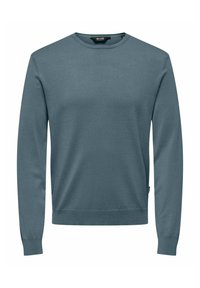 Maglione azzurro chiaro a girocollo con maniche lunghe, realizzato in tessuto morbido. Presenta polsini e orlo a costine, senza motivi o accenti visibili.