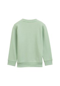 Sudadera verde menta de manga larga, con cuello redondo y puños y dobladillo acanalados. Textura suave, diseño sencillo, color sólido sin patrones.