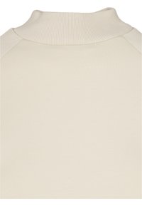 Ljusbeige sweatshirt med hög ribbad krage och raglanärmar, med en jämn yta och minimalistisk design.