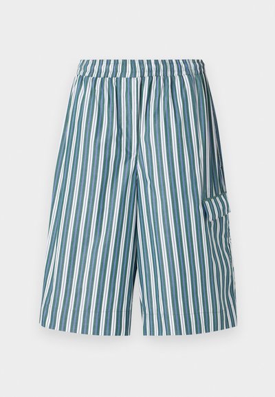 Pruhované šortky s elastickým pasem, které mají střídající se vertikální pruhy v zelené, bílé a modré barvě, a postranní kapsu. Lehce tkanina.