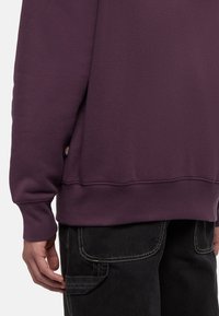 Felpa viola con polsini e fondo a costine, dotata di un'etichetta sul lato. Indossata sopra pantaloni neri con cuciture a contrasto e una tasca laterale.
