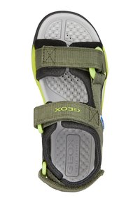 Geox J BOREALIS  - Sandalias de senderismo - military lime
