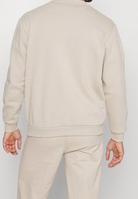 Beige bavlněná mikina s kulatým výstřihem, žebrovanými manžetami a lemem, s hladkou texturou a volným střihem. Zadní pohled ukazuje detaily švů.