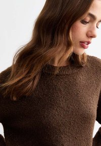 Maglione marrone dalla trama morbida con scollatura tonda, realizzato in un materiale soffice e peloso, con una leggera lucentezza che mette in risalto la ricca profondità del colore del capo.