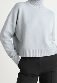 Lichtblauwe cropped sweater met een hoge geribbelde kraag en geribbelde zoom. Het materiaal lijkt zacht met een gestructureerde afwerking. Klein logo-detail op de borst.