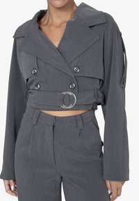 Cappotto grigio accorciato con ampio colletto, bottoni doppi, vita cinte con un anello metallico e maniche lunghe. Texture liscia.