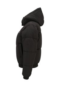 Fila APPAREL BUCHEN PUFFER - Giacca invernale - black