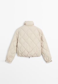 Lichtbeige gewatteerde jacket met lange mouwen, elastische boorden met drukknoopjes en hoge kraag, gezien vanuit de achterkant tegen een witte achtergrond.
