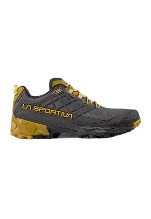 AKYRA II GTX - Hikingschuh - carbon bamboo