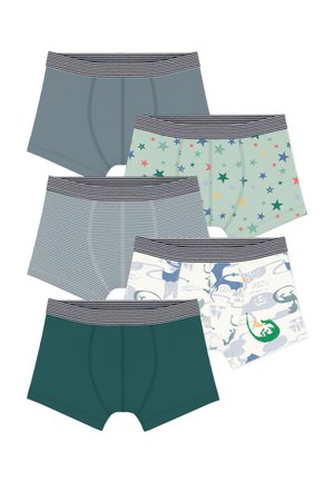 Petit Bateau, 4 PACK  - Caleçon - green multicolor