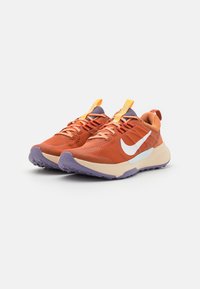 Nike Performance Chaussures de running - light brown