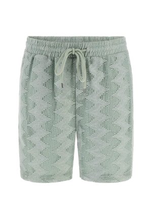 Lichtgroene shorts met een zigzagtextuur, een elastische tailleband en een koordsluiting aan de voorkant.