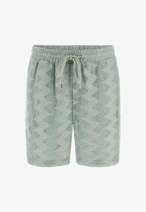 Lichtgroene shorts met een zigzagtextuur, een elastische tailleband en een koordsluiting aan de voorkant.