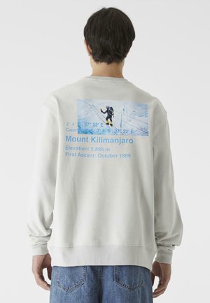 Lys grå hettegenser med et grafisk motiv av Mount Kilimanjaro på baksiden, med blå tekst som viser høyde og koordinater. Løs passform.