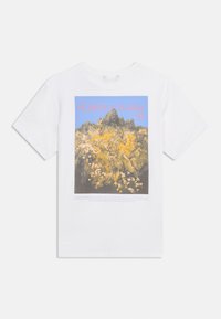 Biała koszulka z kolorowym nadrukiem przedstawiającym skalisty teren i żółte kwiaty, opatrzona napisami „ROŚLINY I FLORA” oraz „Dolina Yosemite”.