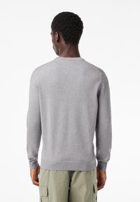 Grijze trui met een ronde hals en lange mouwen. Heeft ribgebreide manchetten en zoom, een soepele textuur en een relaxte pasvorm aan de achterkant.